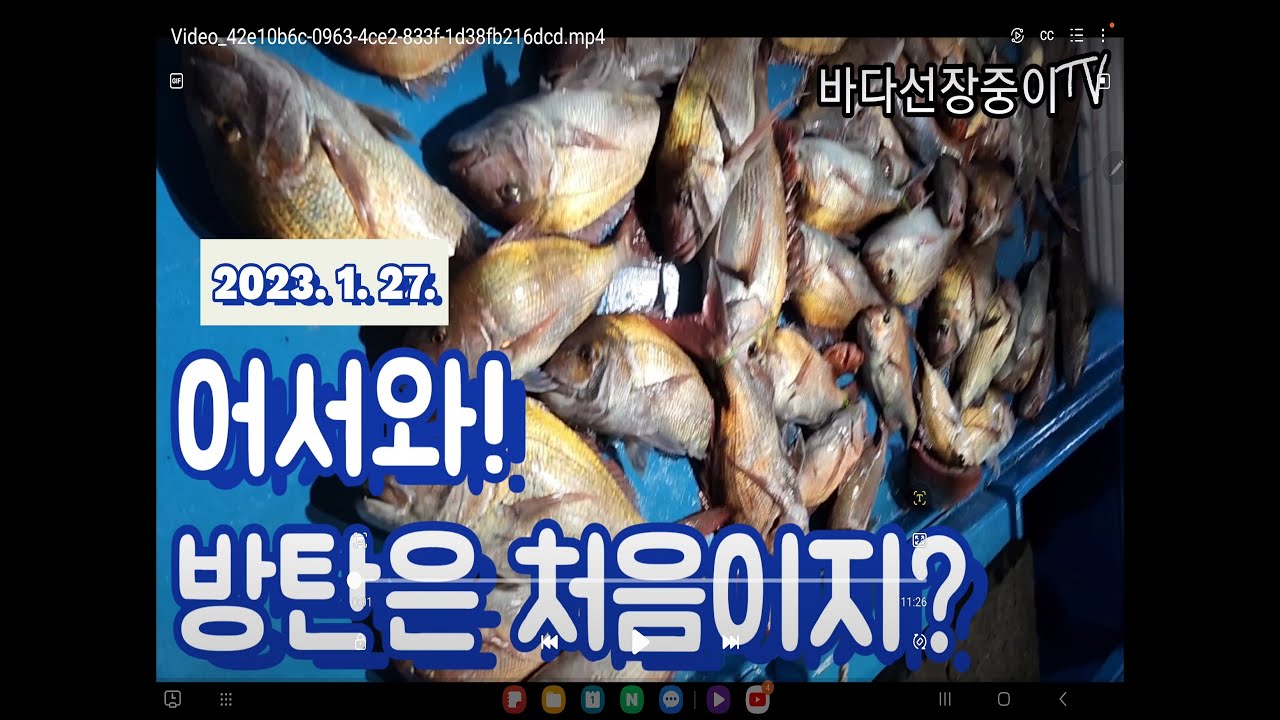 어서와 방탄은 처음이지? 제주 타이라바 최고의 선사, 저라면 이 배를 탑니다. 도시어부 말고 제주어부 바다선정중이 - jeju tairubber fishing.