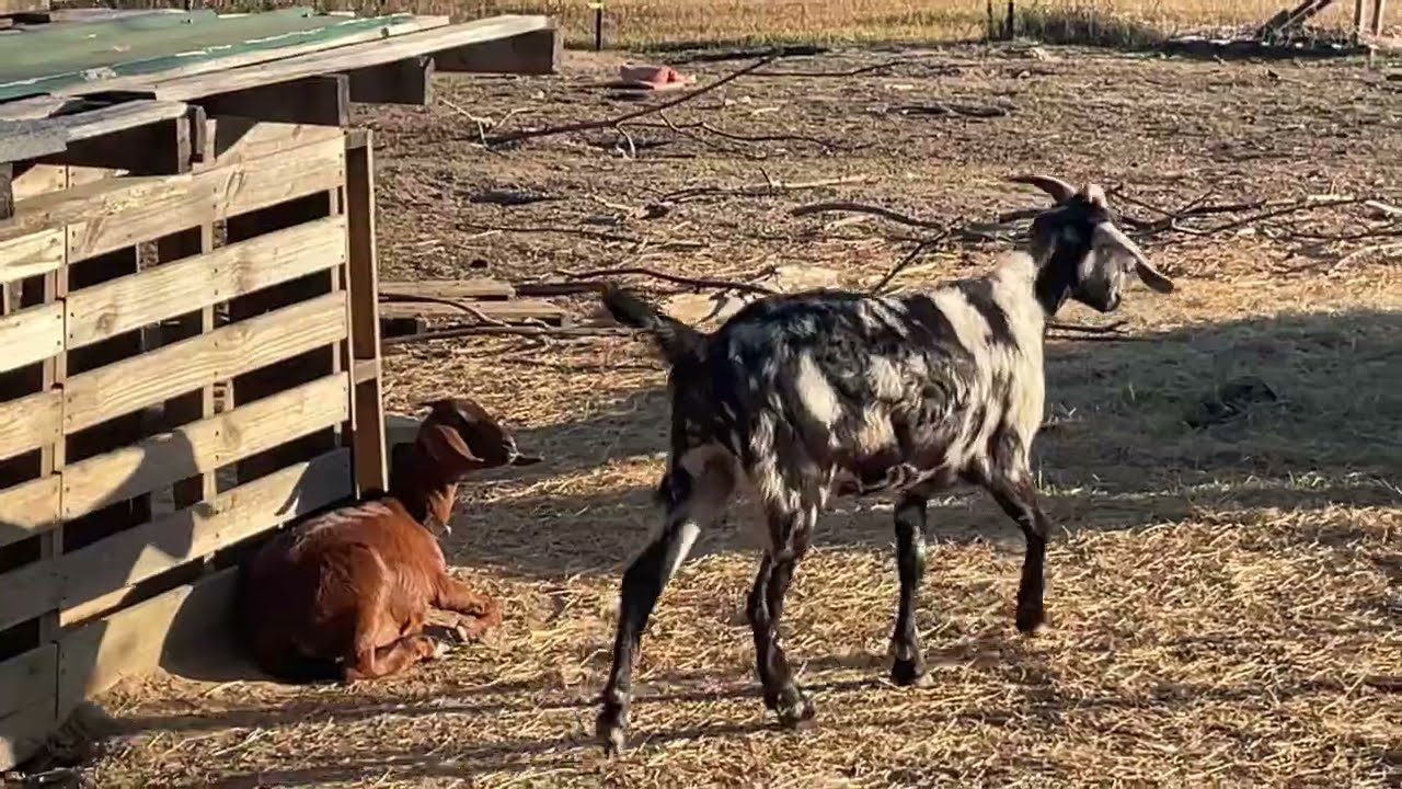 Got one