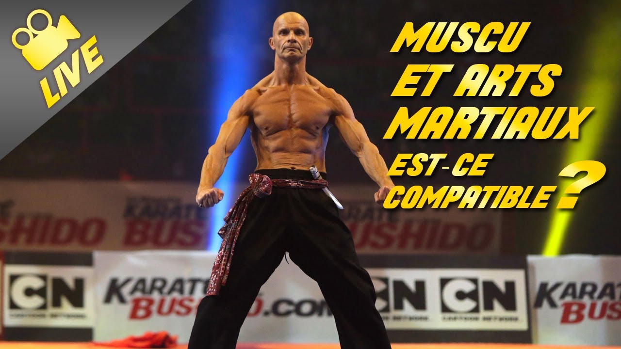 Le mythe &laquo;&nbsp;anti - musculation&nbsp;&raquo; dans les arts martiaux !