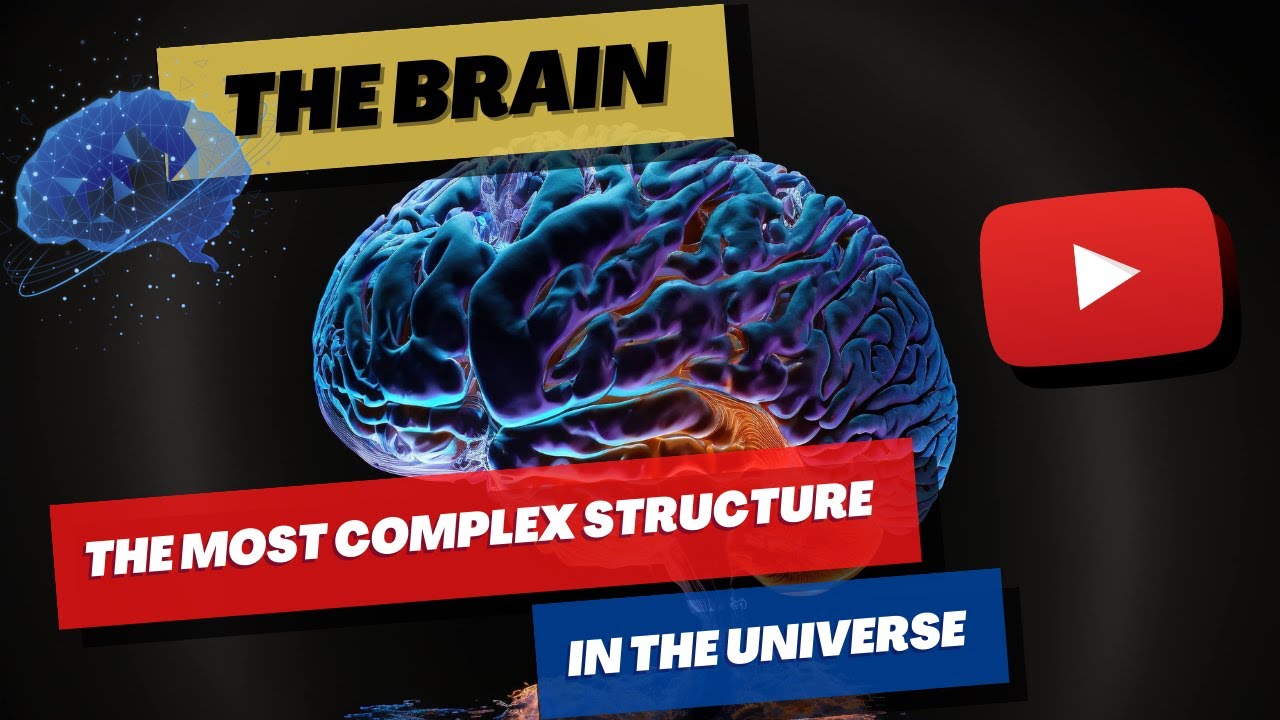 The Brain: The Most Complex Structure in the Universe