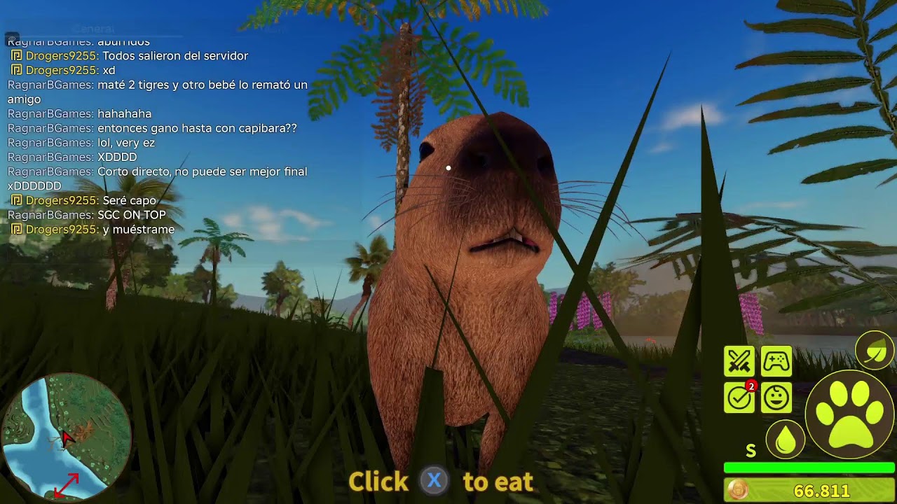 Jungle Live: Capibara Koser 🦫 part 2