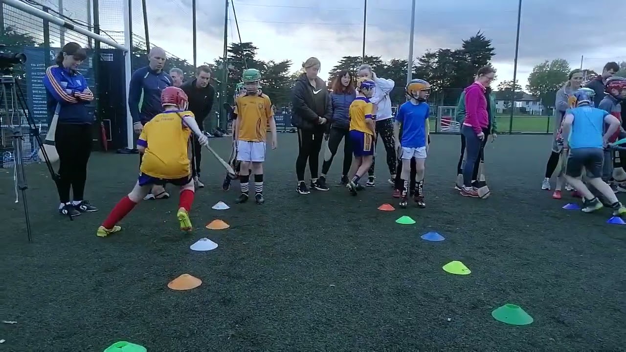 Workshop - Hurling - Paudie Butler