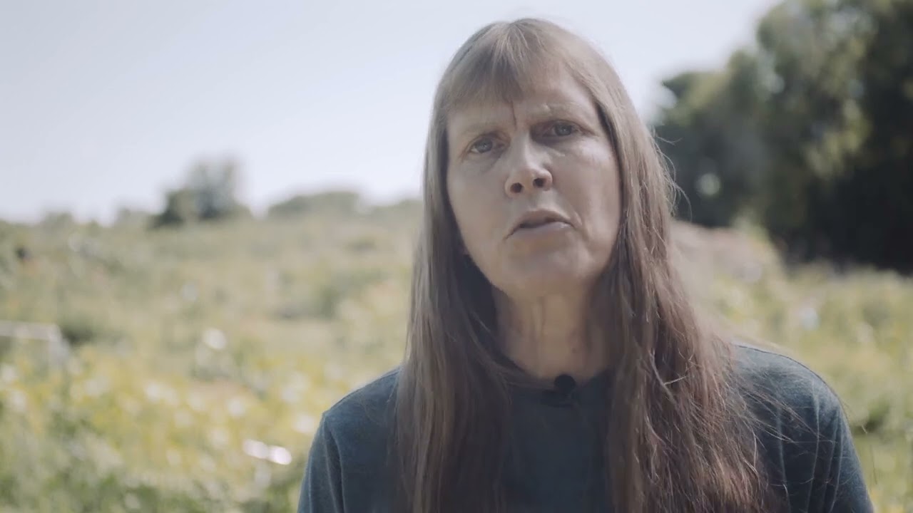 Crop breeder Shelley Jansky: A Day in the Life