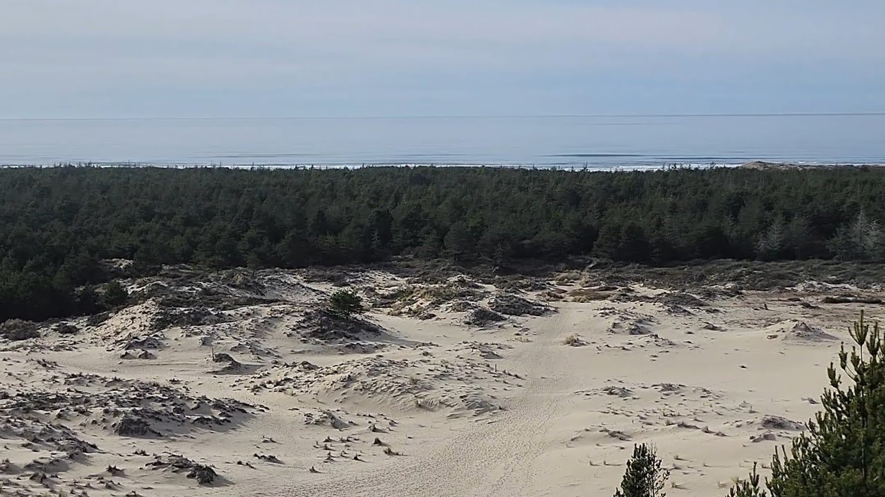 Forest hike and beach walk at Oregon Dunes National Recreation area walk 
