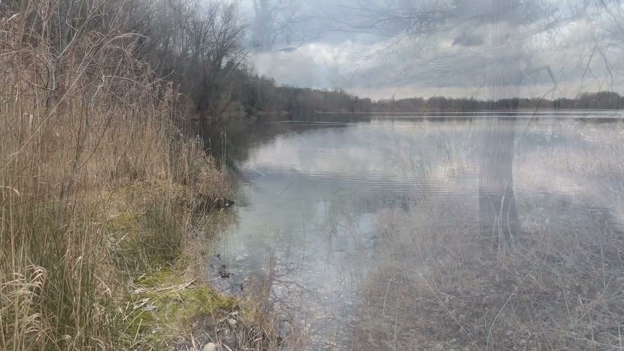 20260215 Gravière De Dalhunden 