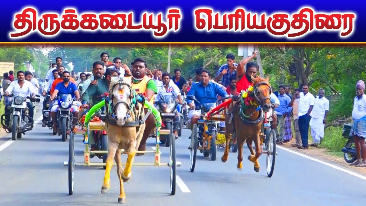 திருக்கடையூர் பெரியகுதிரை 17/01/2023 thirukadiur periyakuthirai ksk rekla race Krish studio