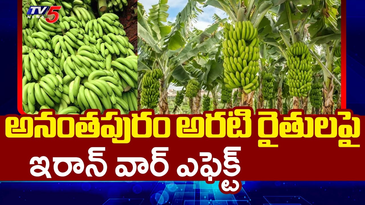 War Effect On Anantapur Banana Farmers | Gulf Countries | Iran Vs US || TV5 News