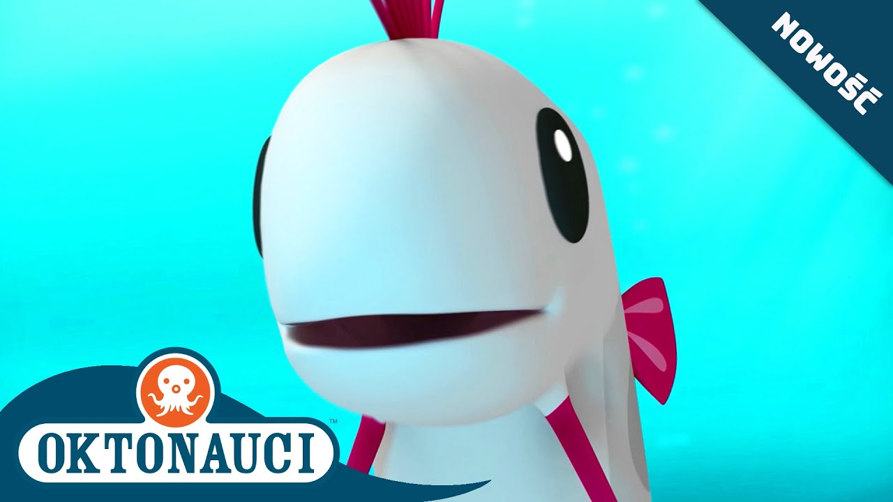 Oktonauci - 🍥 i wstęgor kr&oacute;lewski 🐉 | Cały odcinek 28 | Seria 1