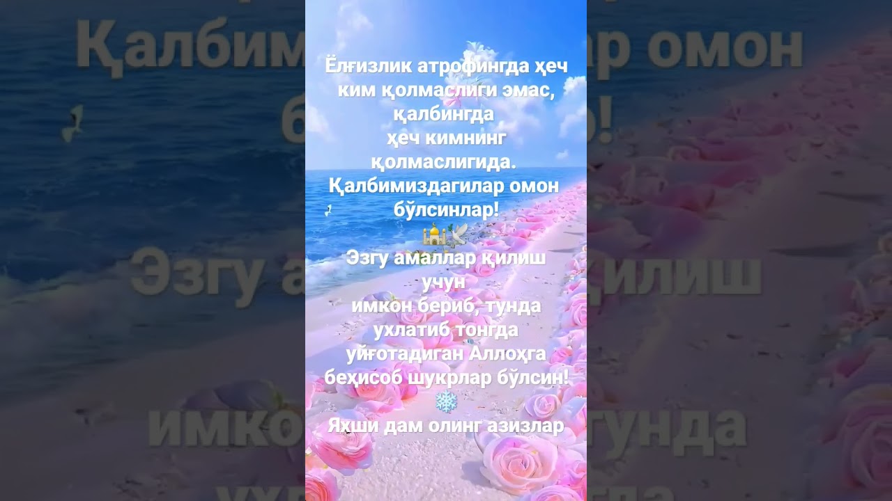 ЯХШИ ДАМ ОЛИНГ#shorts