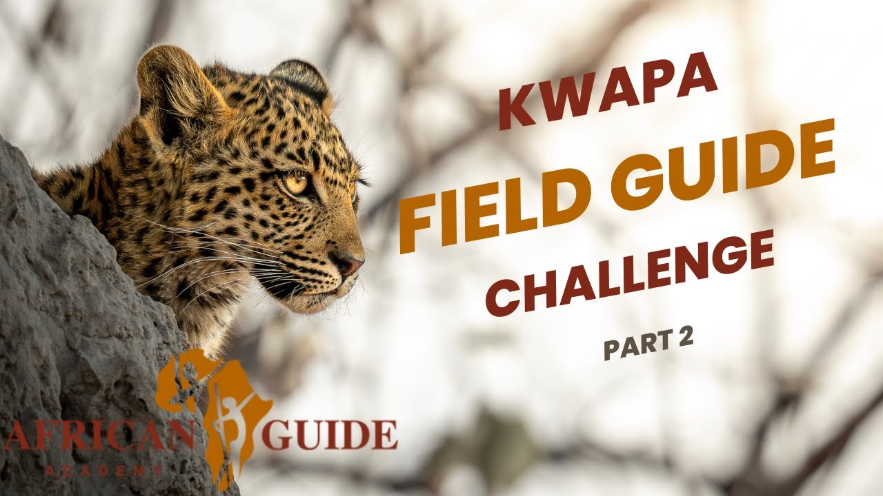 Kwapa Tracks: Interactive Field Guide Challenge - Episode 2 - African Guide Academy