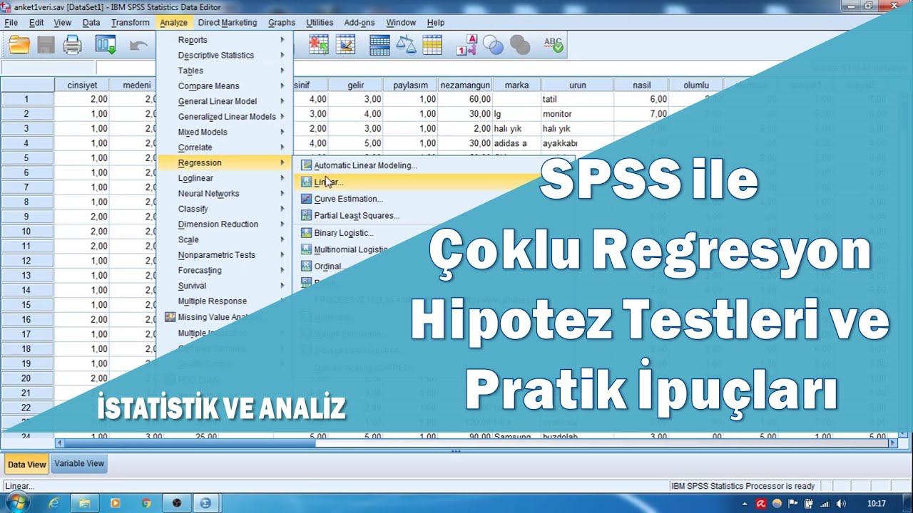 SPSS ile çok değişkenli regresyon analizi hipotez testleri ve çoklu doğrusallık sorunu
