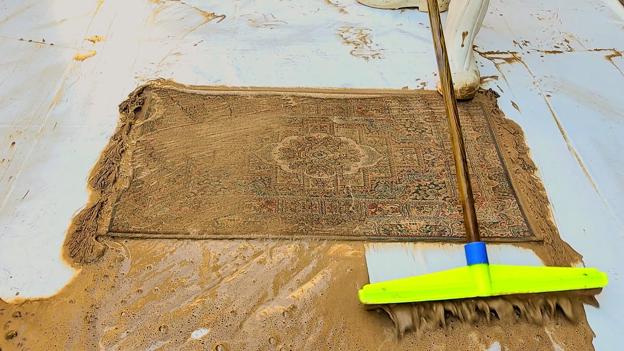 Satisfying Rug Cleaning: Rescuing Treasures from the Landfill