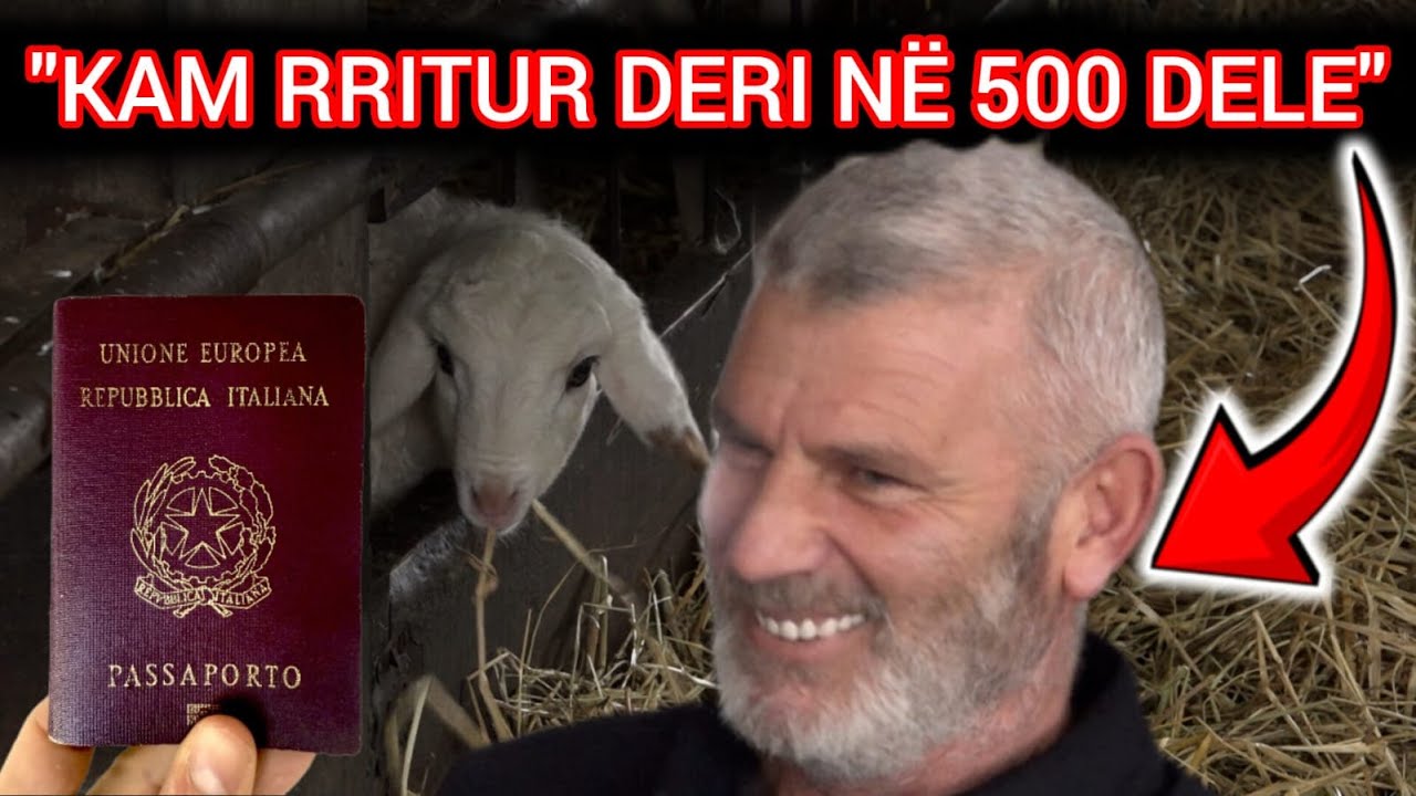 Dogji pasaportën italiane për të rritur dele në Dibër, blegtori: S'ka si vendi im