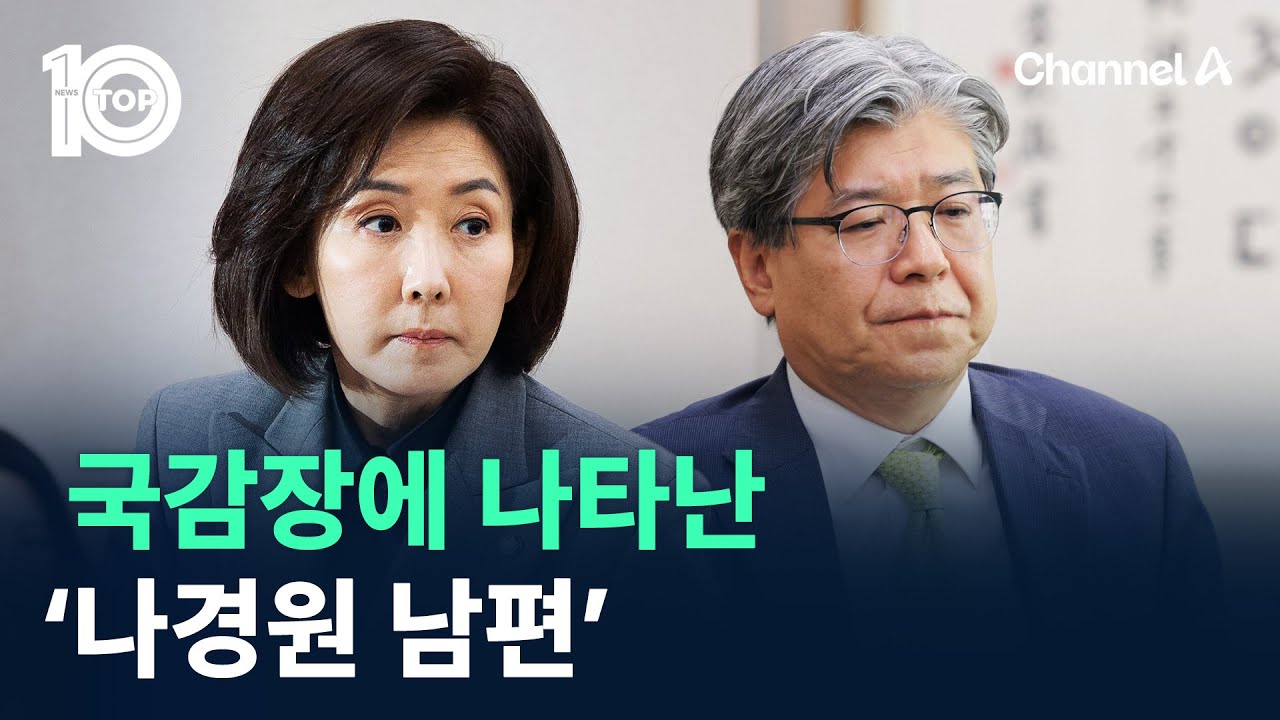 국감장에 나타난 ‘나경원 남편’ / 채널A / 뉴스TOP 10