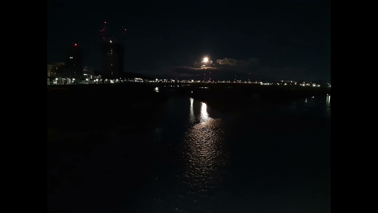 Still Awake, Doing Nothing | Quiet Night Ambient BGM