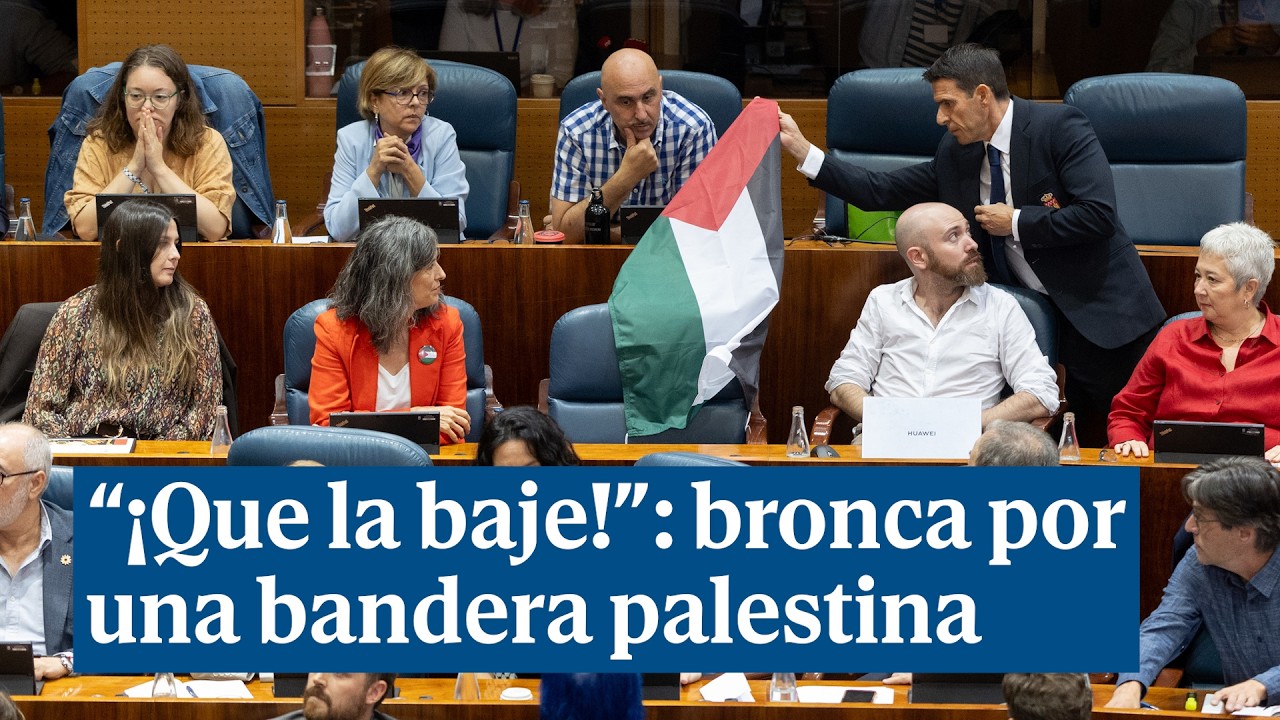 Tensi&oacute;n y bronca en la Asamblea de Madrid por una bandera palestina: 