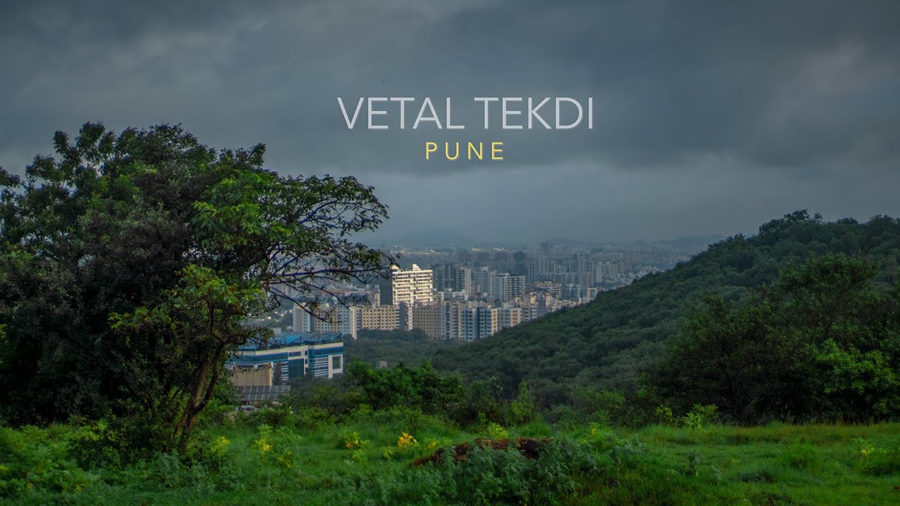 Vetal Tekdi (Hill) in Pune - city’s green lungs that we might lose soon!