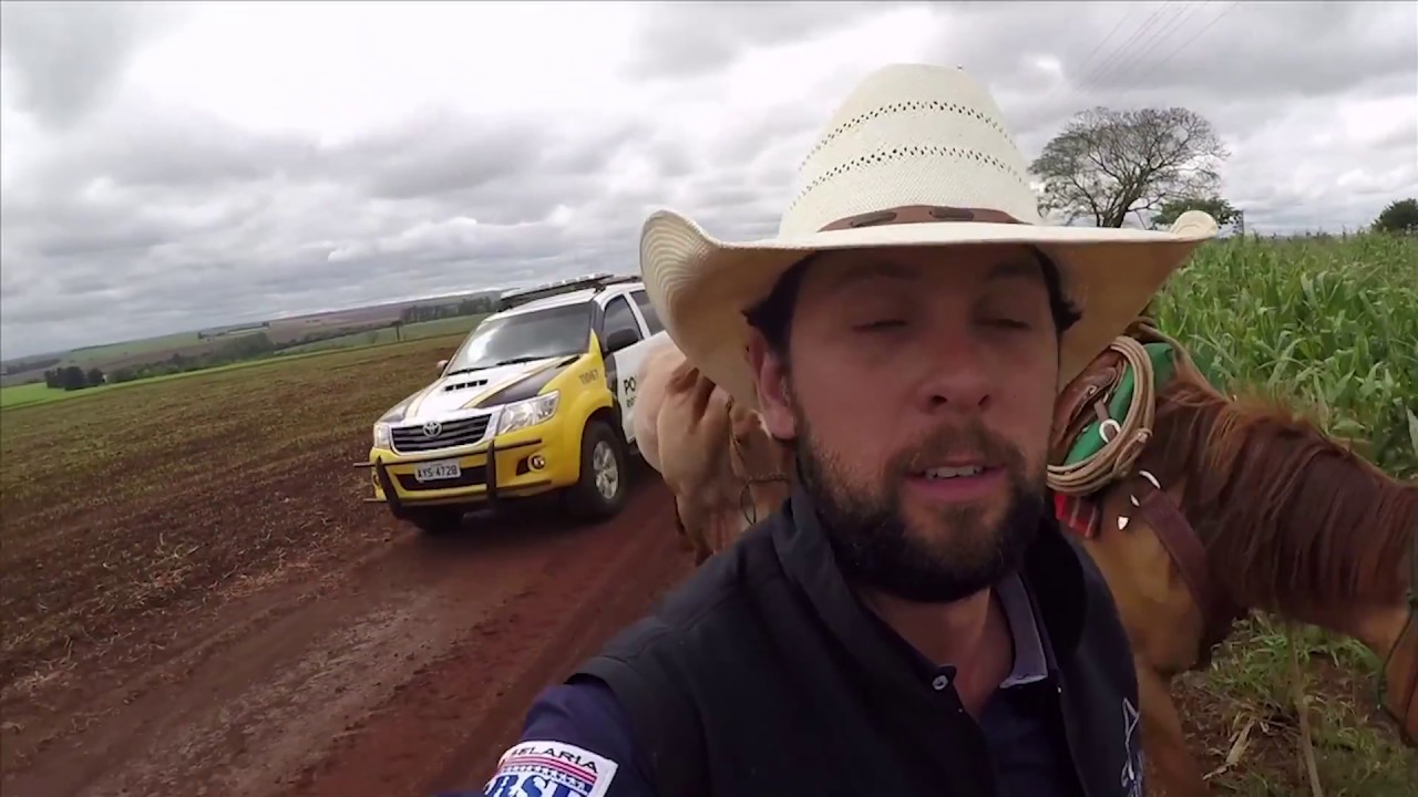 Canadian cowboy's 15-month South American journey leaves him craving Tim Hortons