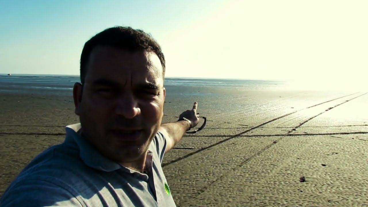 Kürdili sahillərində