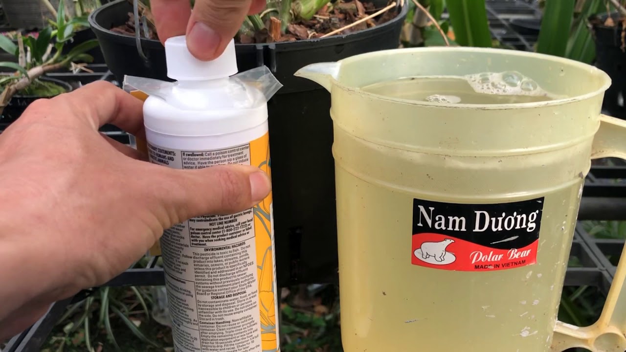 Mở nắp, khui chai xem Physan Usa v&agrave; Bio Root &Uacute;a sử dụng thế n&agrave;o? - KNN
