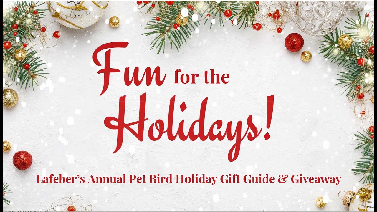 Fun for the Holidays 5! Fifth Annual Pet Bird Holiday Gift Guide