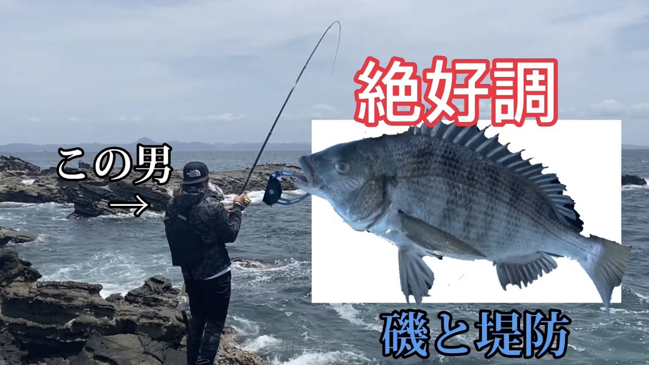 【磯釣り】剱崎と水際線緑地ハシゴしたら釣れすぎた！【堤防】