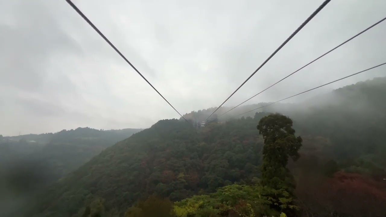 2024 11 15 日本德島 三好市 箸蔵山 楓葉 單眼相片 4K60P