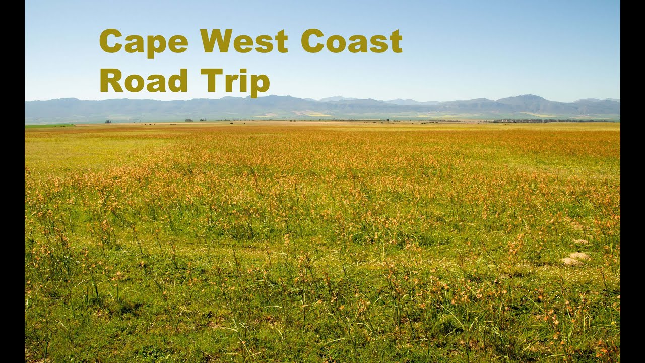 West Coast road trip - Malmesbury - piketbrg - Elandsbaai - Lambertsbaai - Clanwilliam  - Calvinia