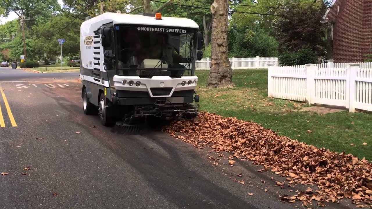 Ravo Leaves Rough Cut