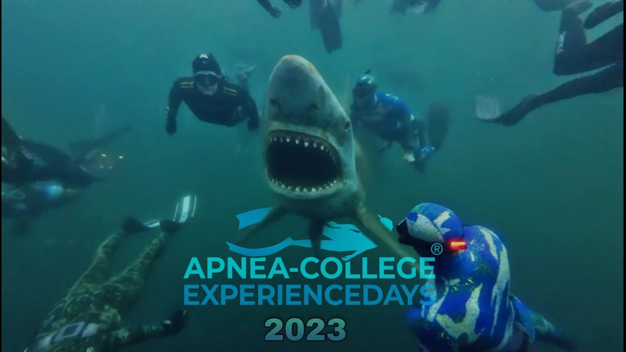 APNEA-COLLEGE EXPERIENCEDAYS 2023