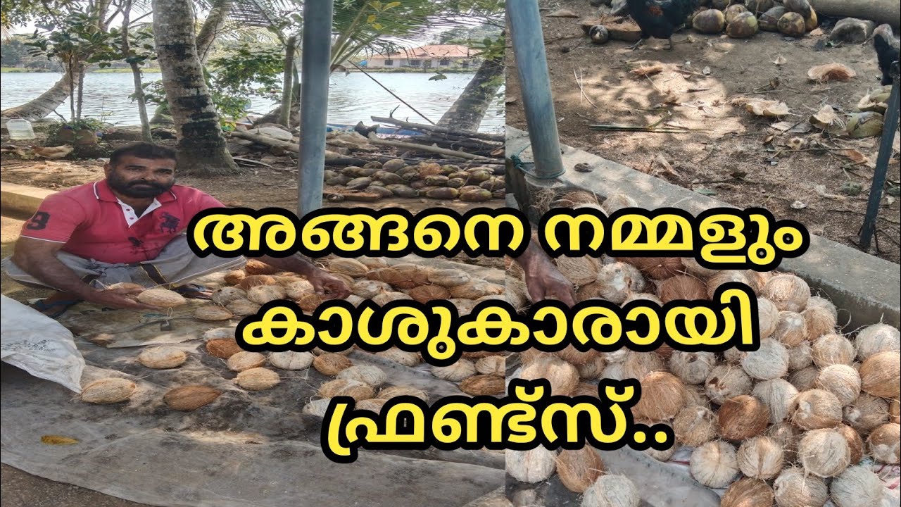 നമ്മൾ അങ്ങനെ കാശുകാരായി ഫ്രണ്ട്സ്.....@LD AND RD MEDIA