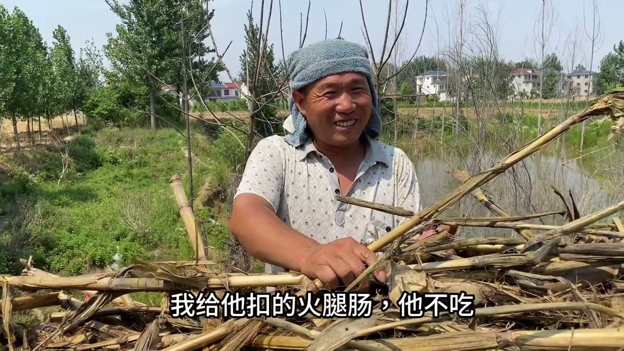 建华自己规整小院，自己的活，慢慢磨。一天干一点总会收拾完。#用抖音记录农村真实生活