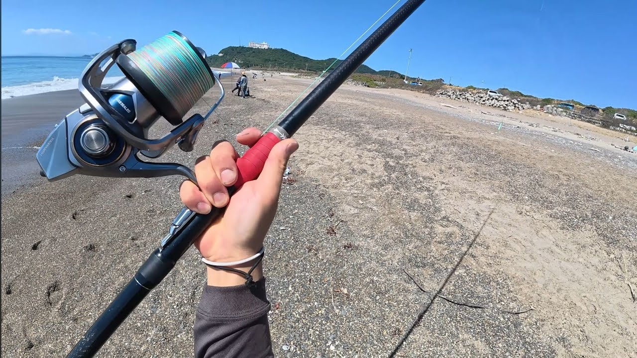 渥美半島の三河湾と太平洋でキスの投げ釣り！ダツ釣れたから食べてみる！