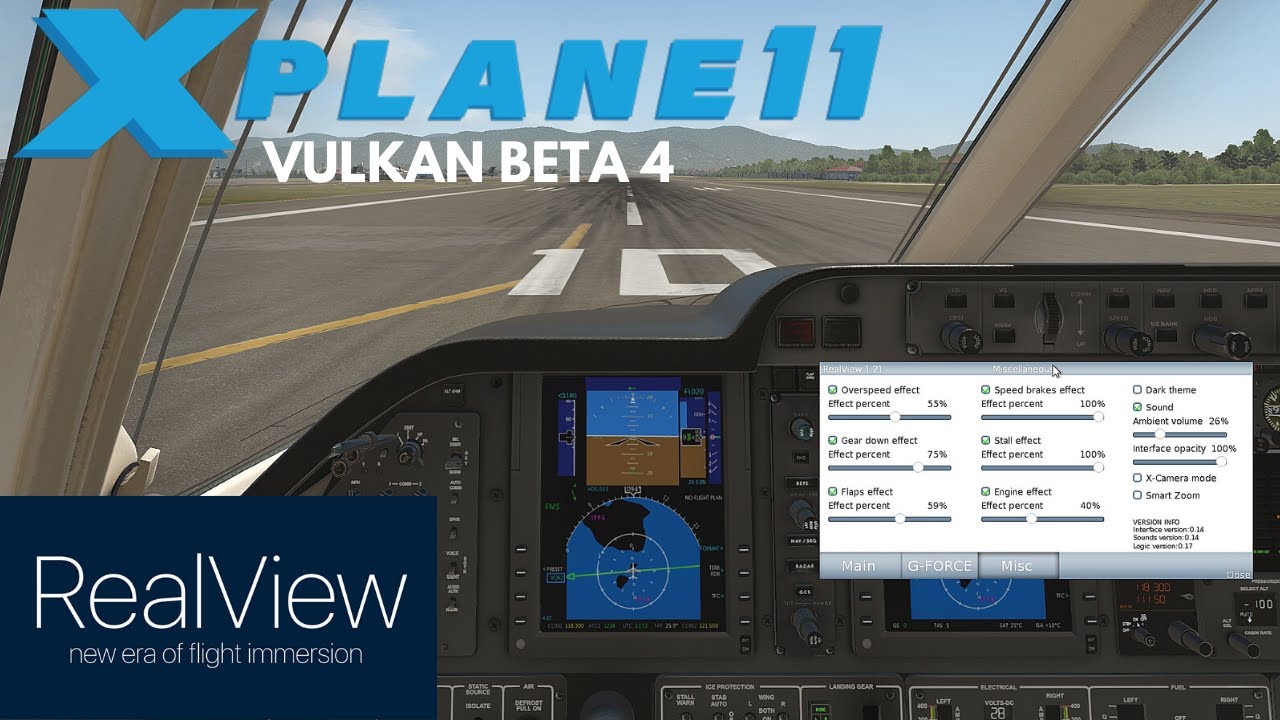 X plane 11 -  RealView - Cockpit Immersion