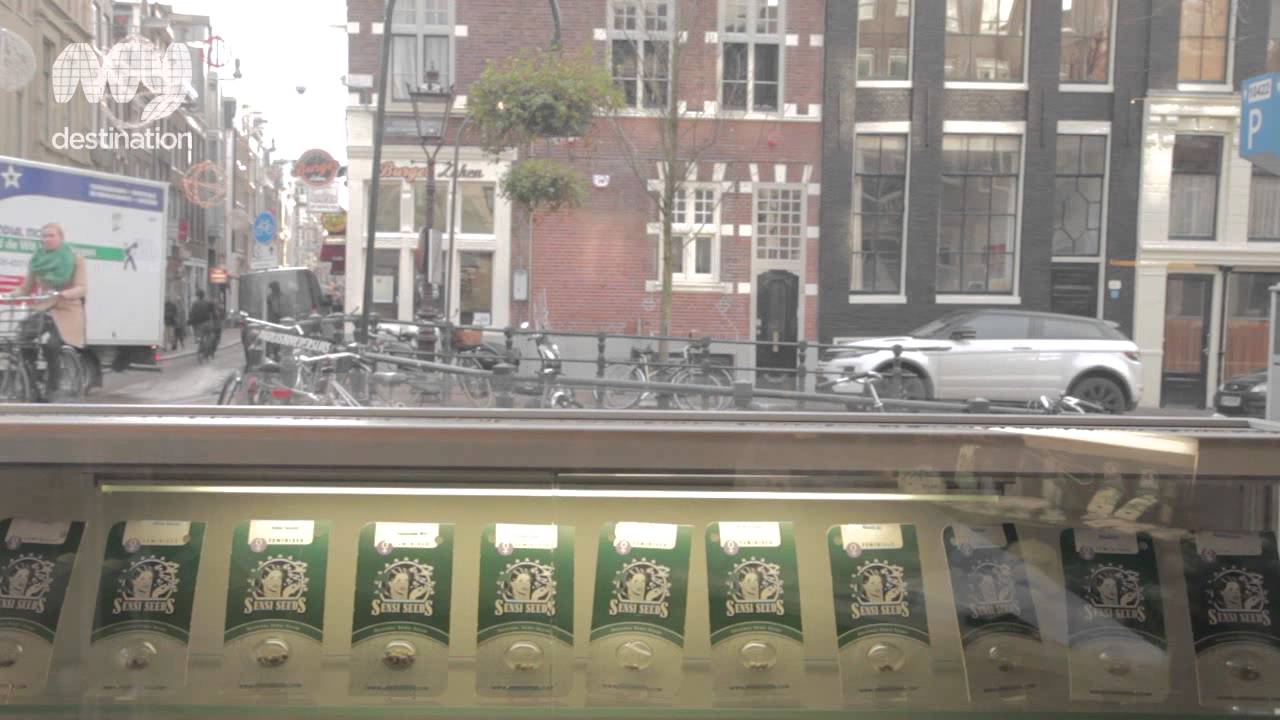 Sensi Seeds
