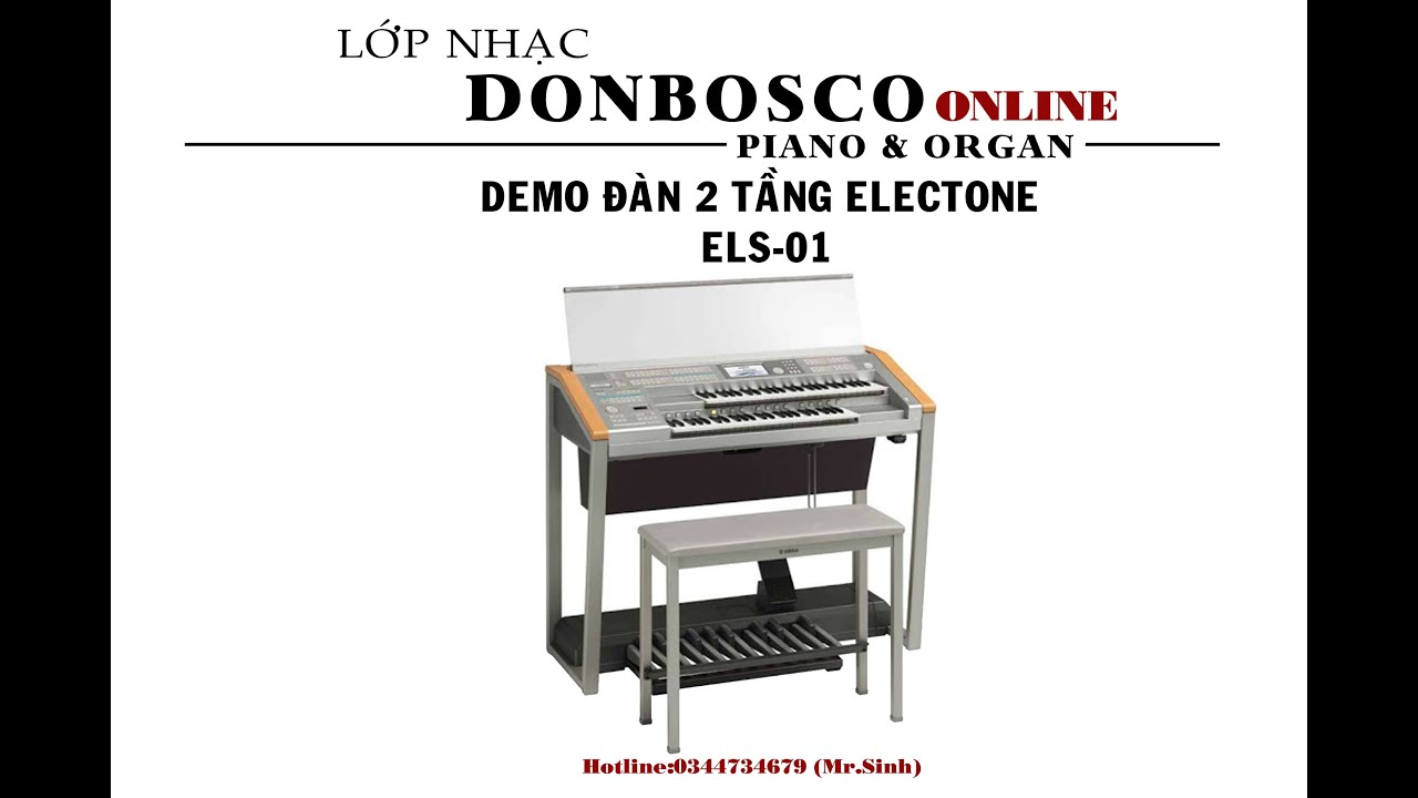 DEMO ELECTONE ELS 01