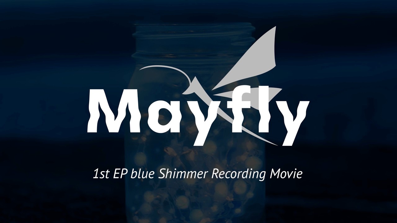 Mayfly 1st EP 