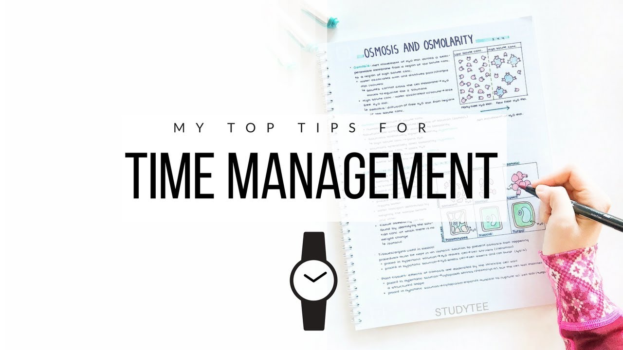 Как я управляю своим временем ⏰ 10 советов по управлению временем | studytee