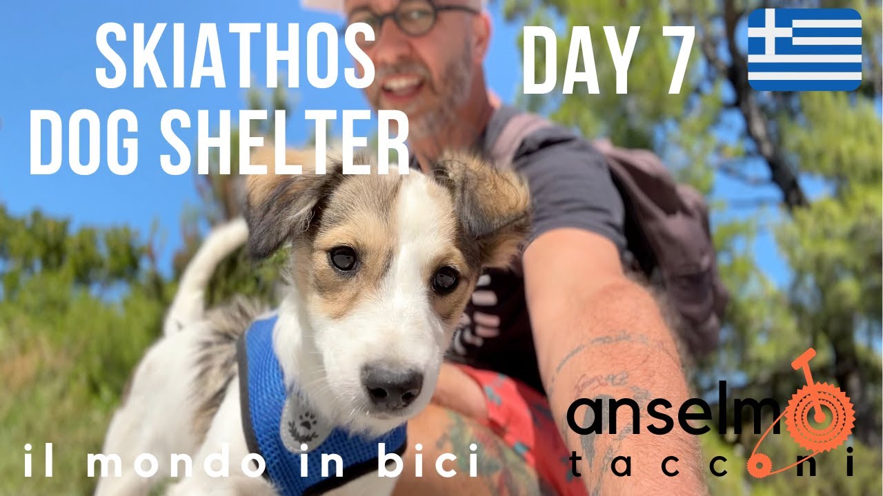 Skiathos dog Shelter. Passeggiando con i cani. Walking the dogs.