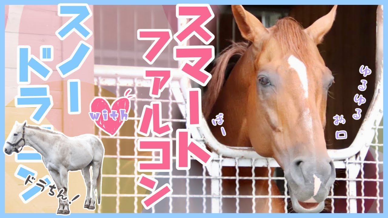 【ゆるゆるお口のスマートファルコンwiht可愛すぎる馬スノードラゴン】