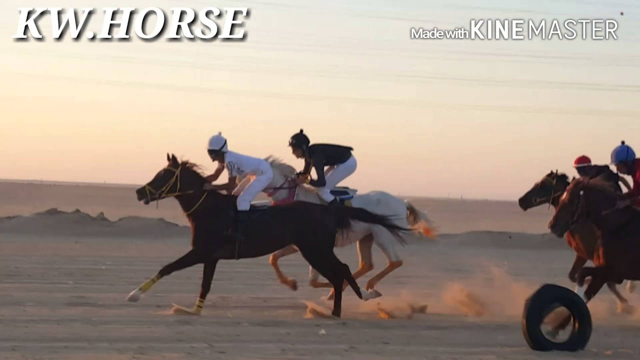 شوط إفتتاح مضمار ملاك الخيل 1400 م 19/2/2016 المركز الاول كهرمان لاسطبل السمو