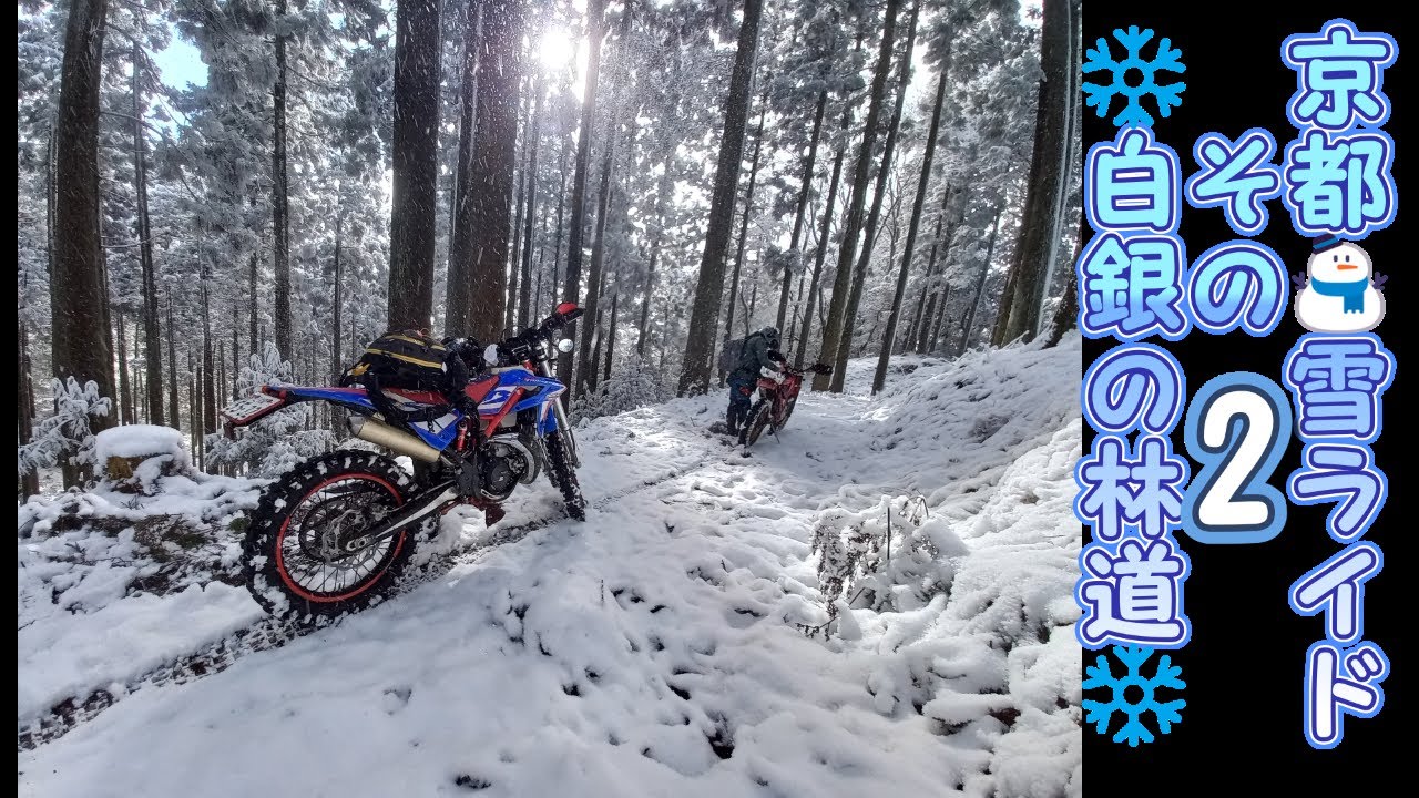 Snowy uphill Forest Ride 【白銀の林道その2ヒルクライム】Kyoto Pref.