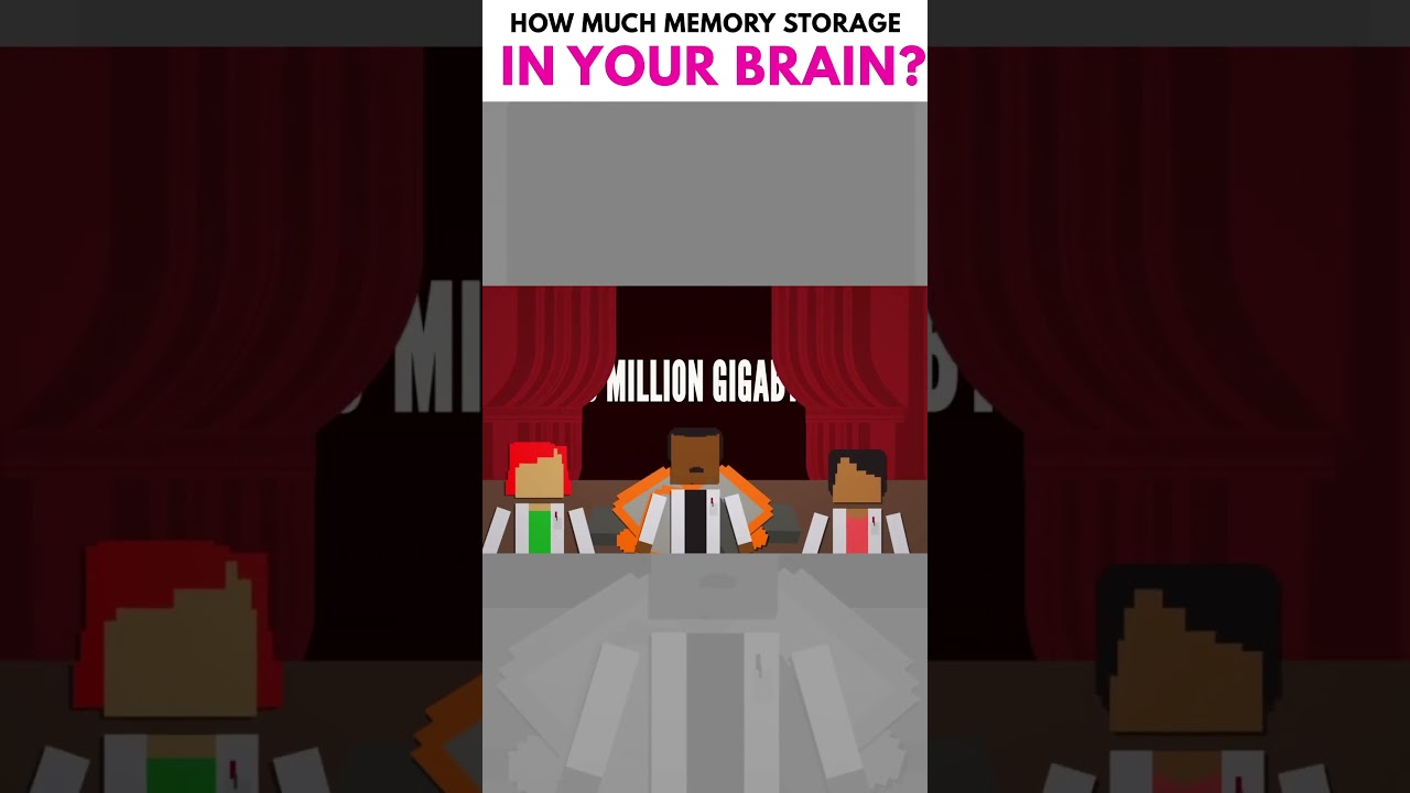 How Much Memory Storage is in Your Brain? 🧠💾