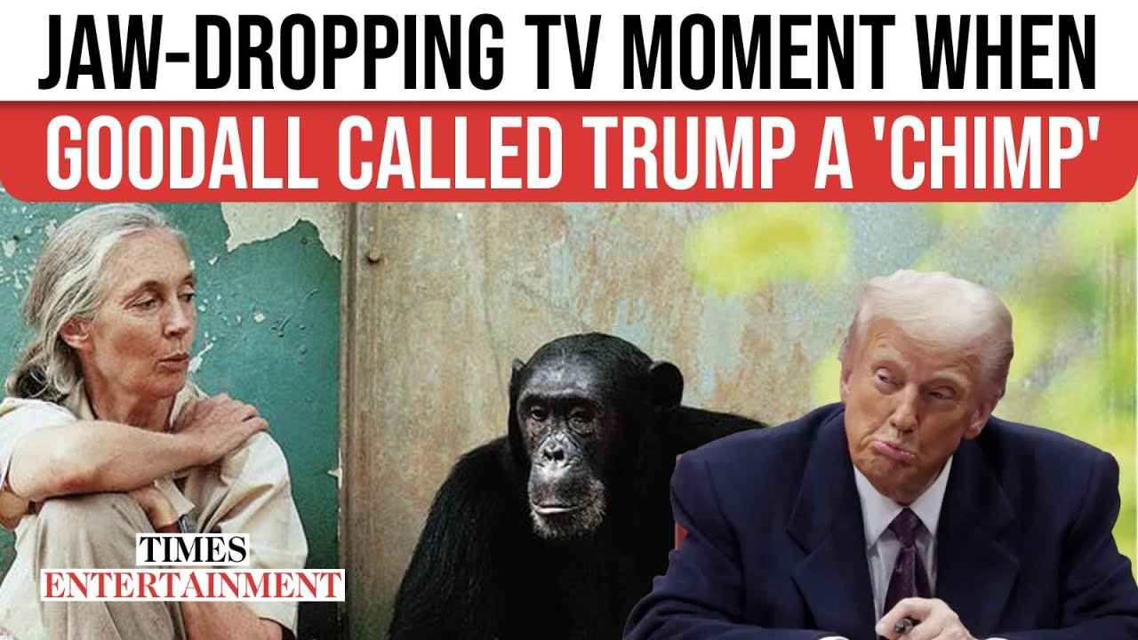 When Jane Goodall DESTROYED Trump With LEGENDARY 'Chimpanzee' Takedown During A 2022 Interview