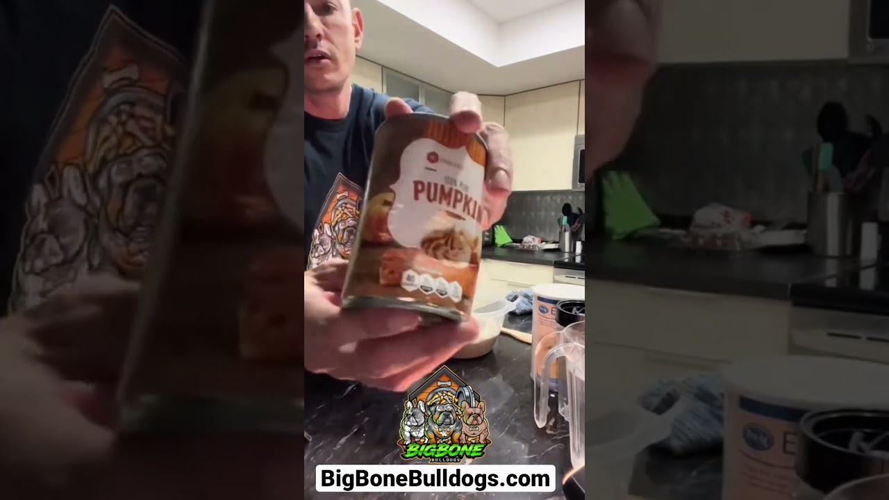 Here&rsquo;s my secret puppy mush recipe🤫 #whelping #puppies #shortspuppy