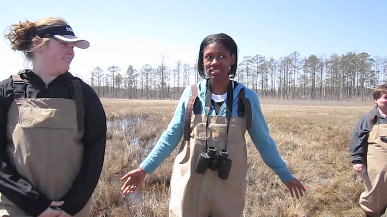 Salt Marsh Stories Chesapeake College