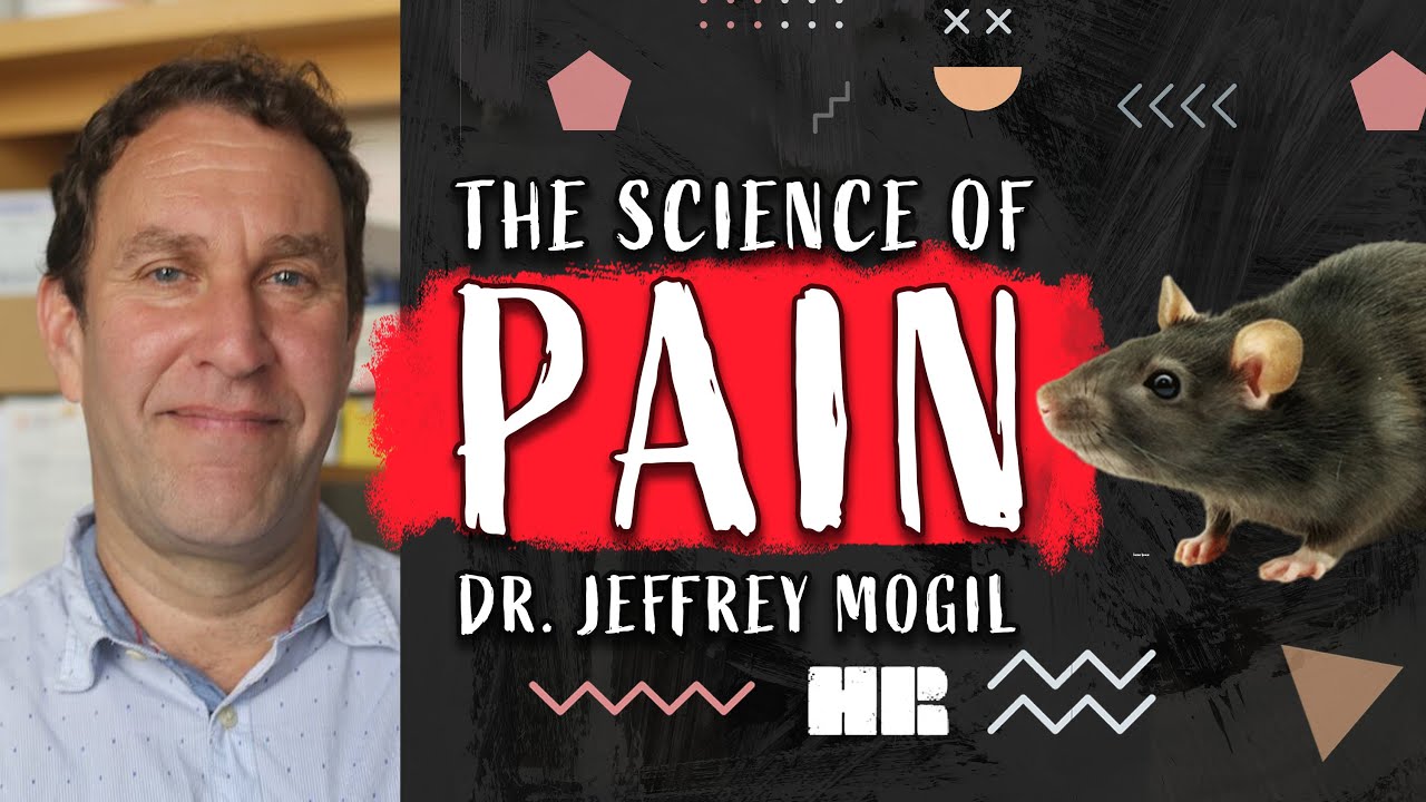 The Science Of Pain | Dr. Jeffrey Mogil | Neuroscience #161 HR