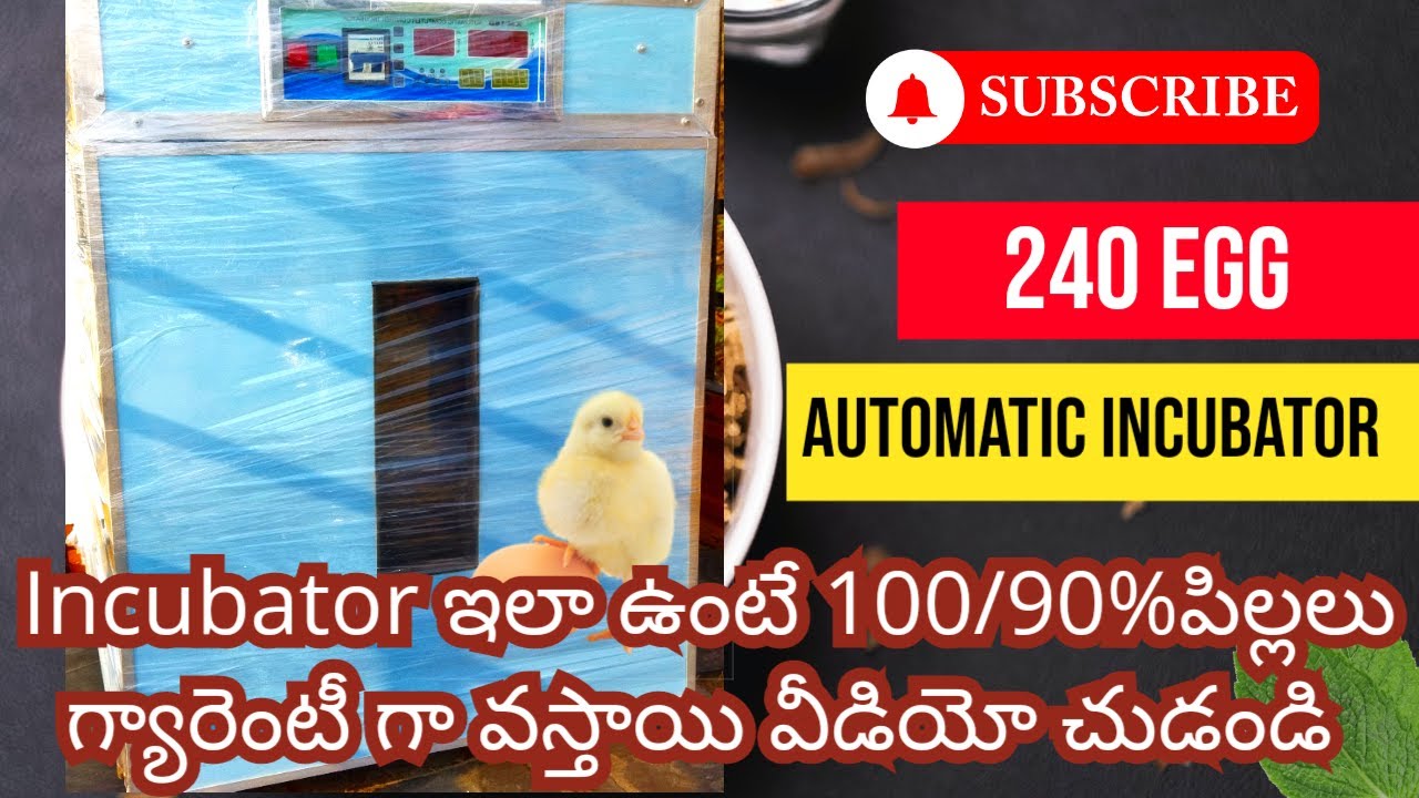 240 egg  fully automatic incubator Hi quality incubator