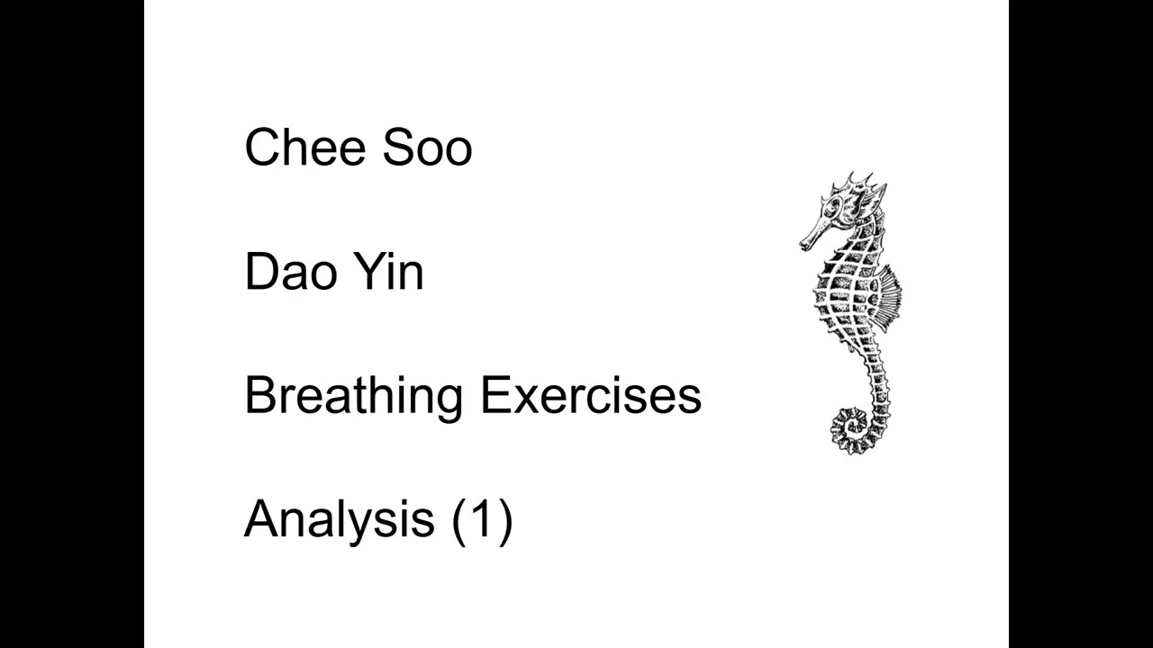 Chee Soo:  Dao Yin Breathing Exercises Analysis (1)