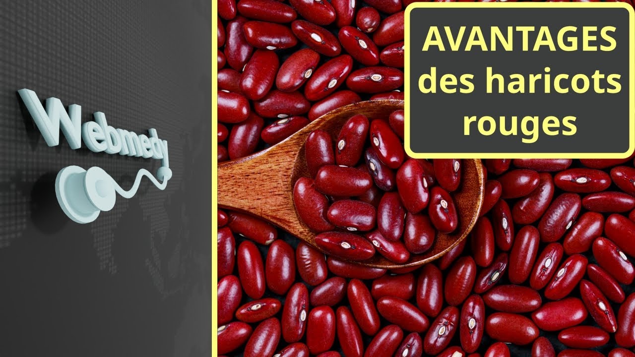 Avantages pour la sant&eacute; des haricots rouges
